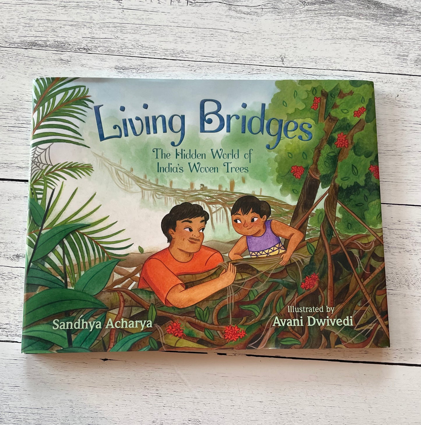 Living Bridges, The Hidden World of India's Woven Trees