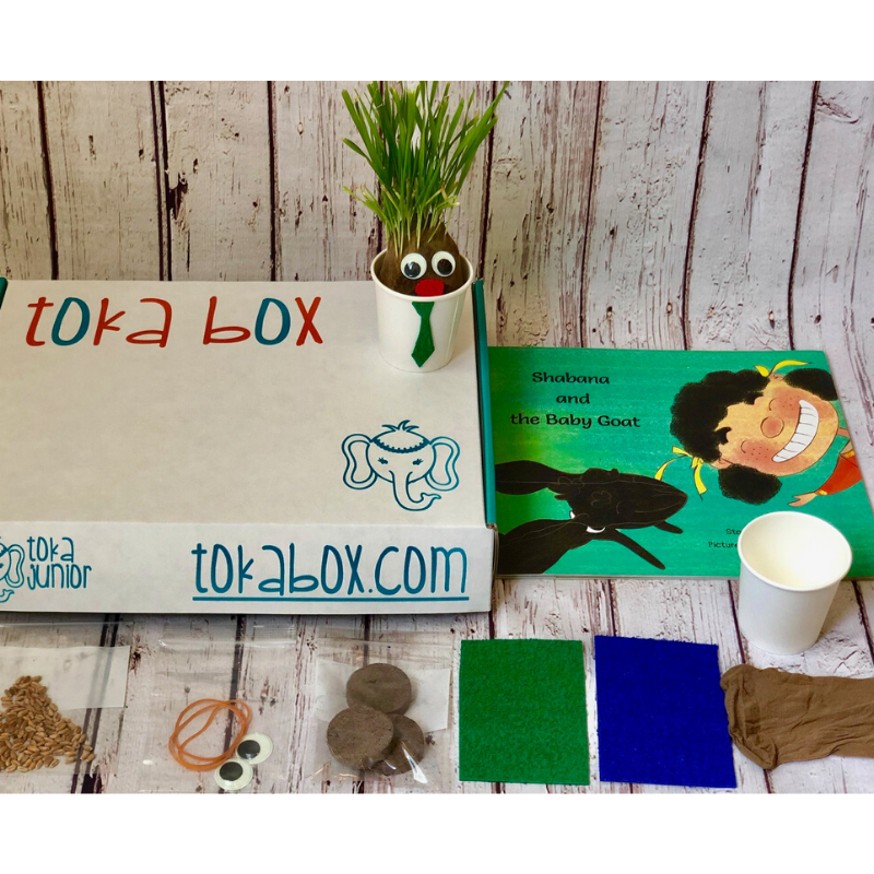 Grow a Grass Head this Spring!