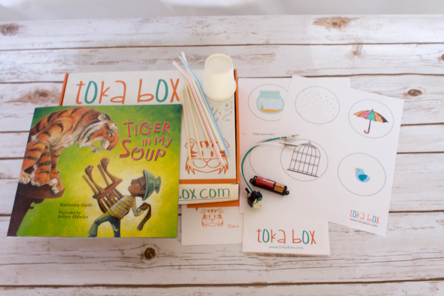 Animation Basics with an Optical Toy