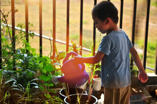 7 Great Gift Alternatives to Toys