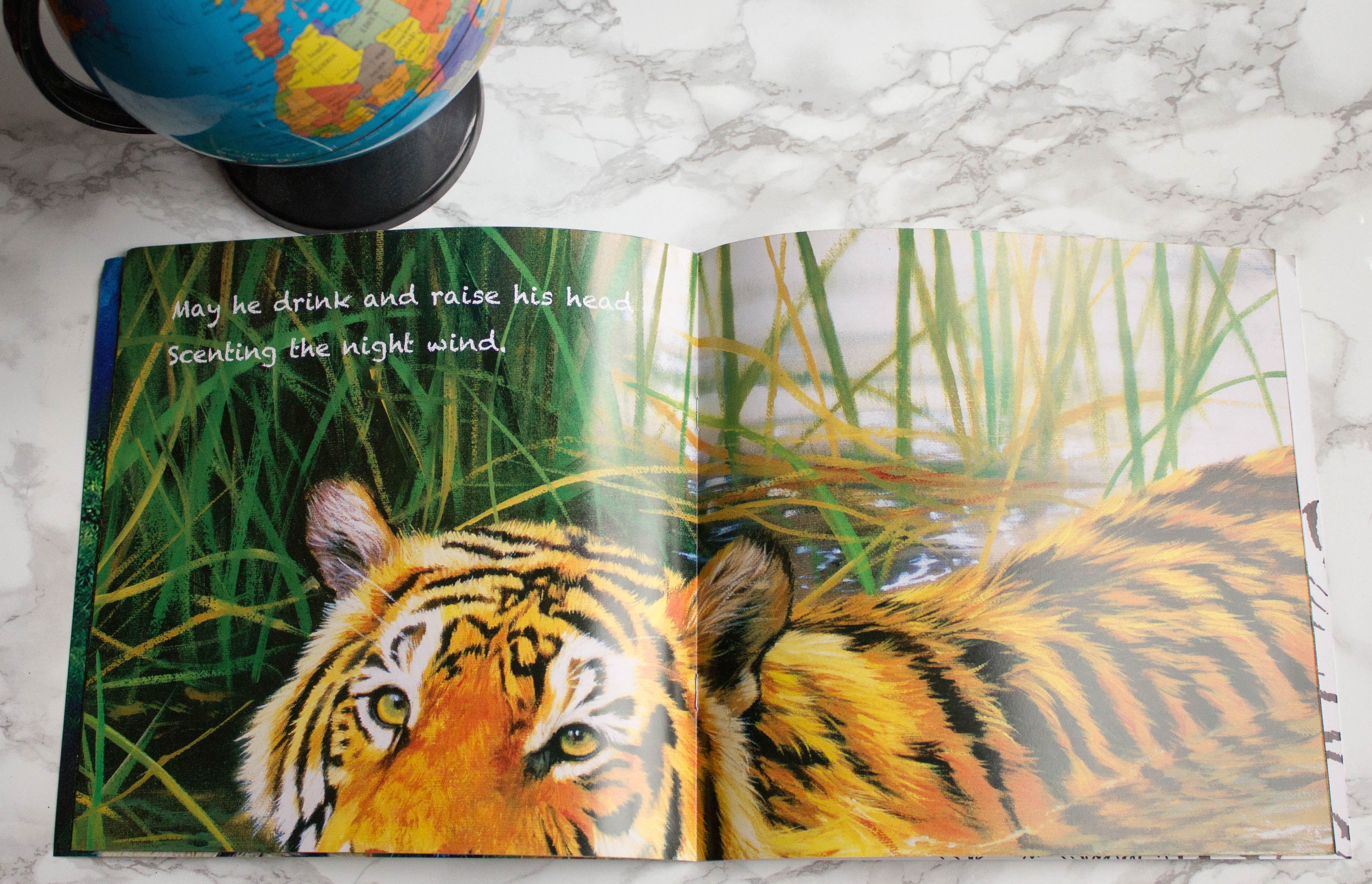 9 Children's Books About the Tiger – Toka Box