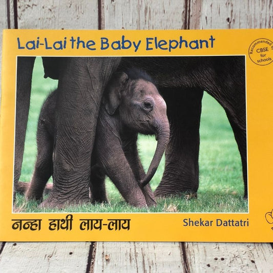 Lai Lai The Baby Elephant