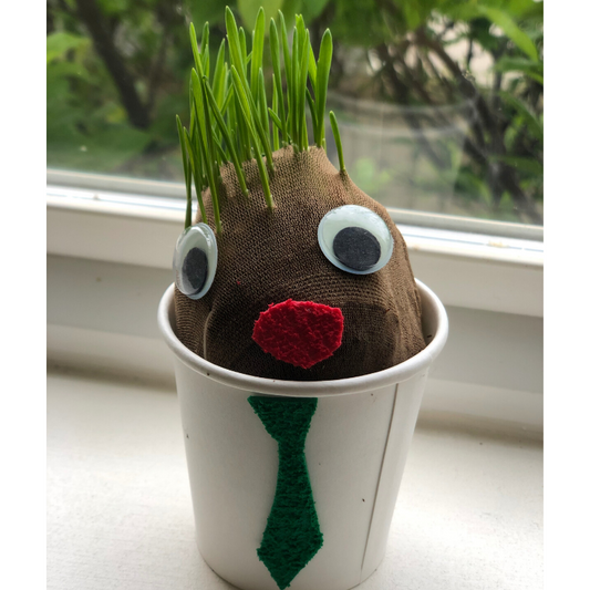 Grow a Grass Head this Spring!