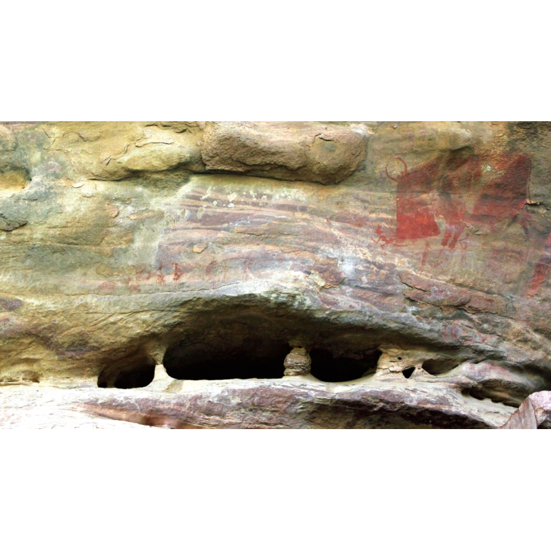 Cave Art - The First Paintings